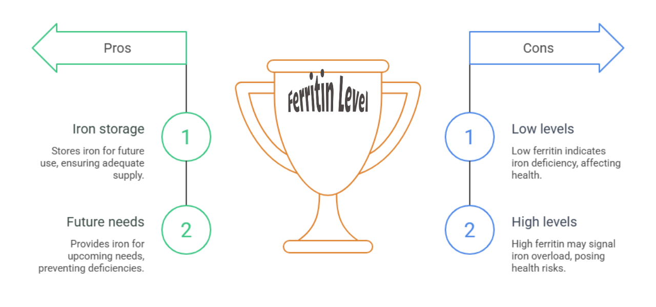 What Is Ferritin why this is matter