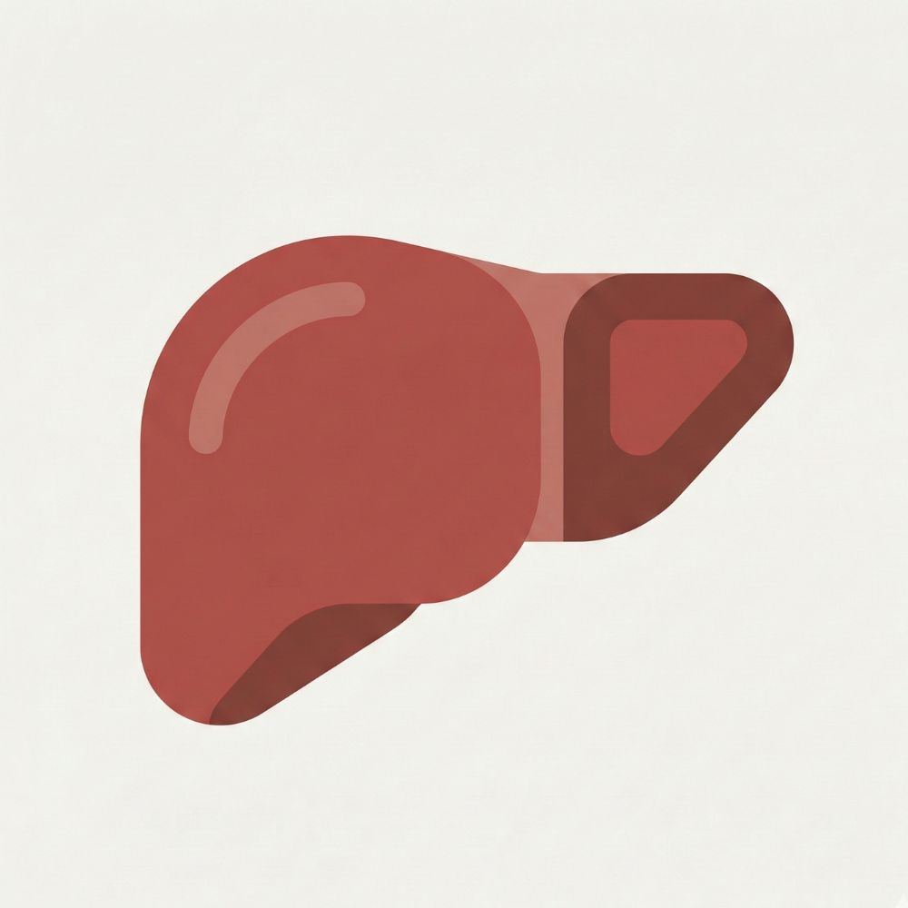 A minimalist flat design icon illustrating a reddish-brown beef liver organ, representing an extremely high source of heme iron.